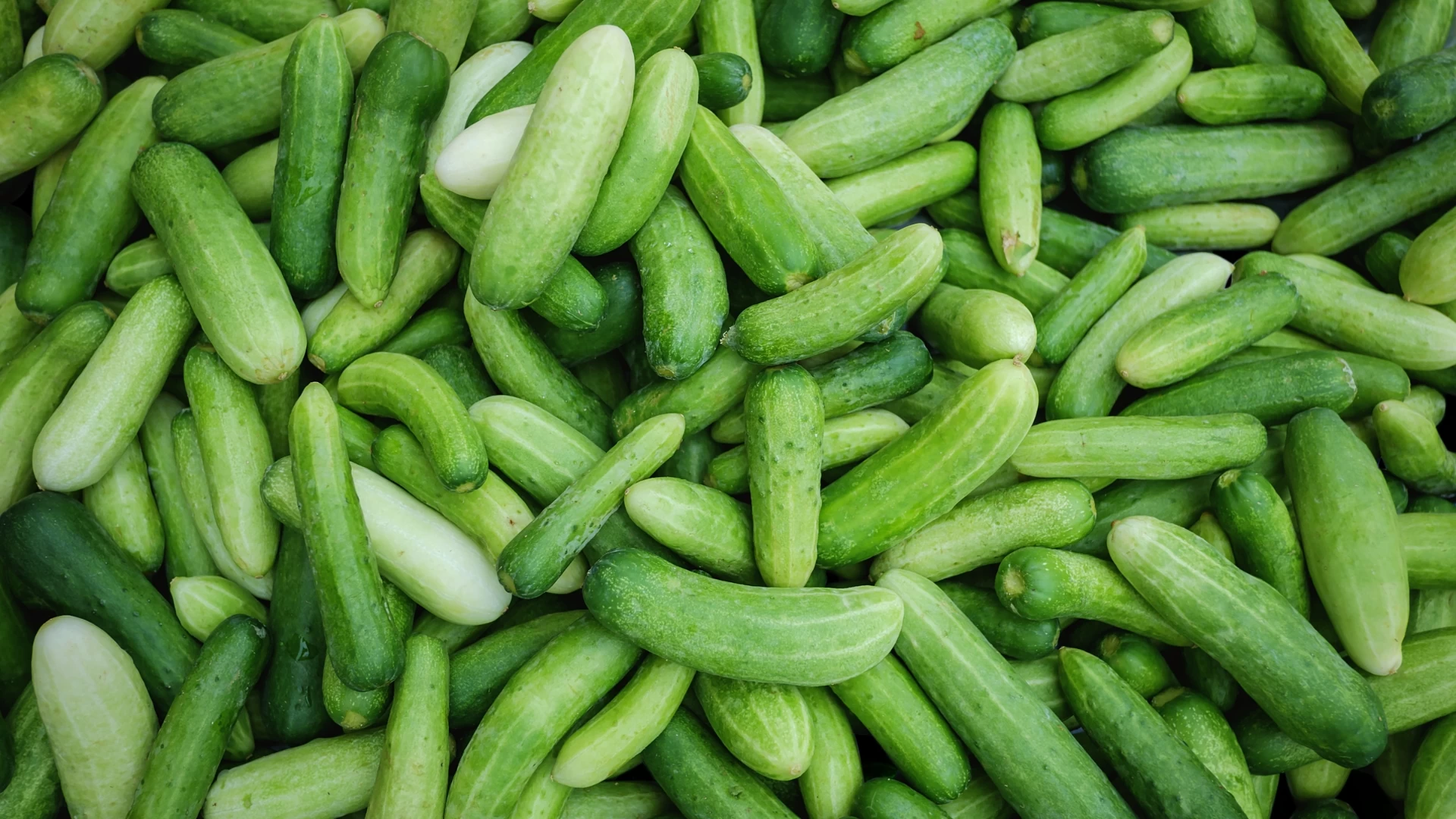 ទំនិញ